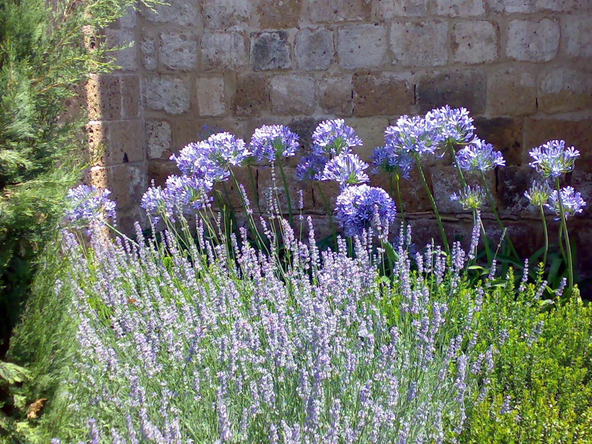 Locanda Palazzone Orvieto Bagian luar foto
