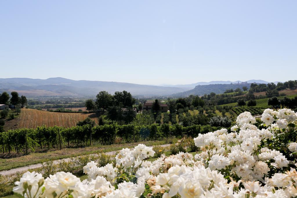 Locanda Palazzone Orvieto Bagian luar foto